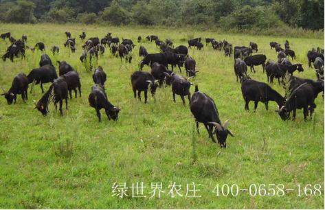 图片121.jpg